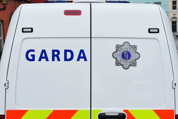 Treatment of people in garda custody to be examined