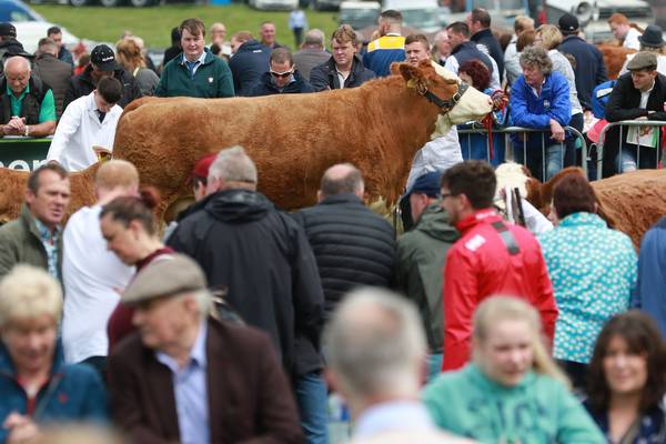 The ‘hurl’ or ‘hurley’ debate makes it to the Tullamore Show