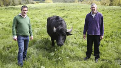 Inside Track Q&A: Toby Simmonds, co-founder, Toonsbridge Dairy