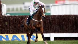Vautour one of a  record 22 Irish entries for Ryanair Chase