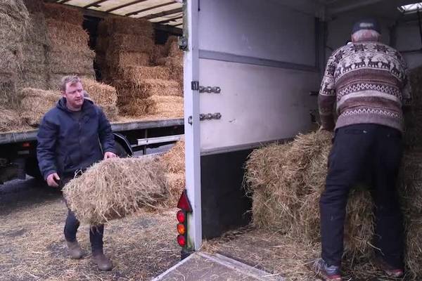 'I wouldn't vote for Greta Thunberg' - farmers have their say on Election 2020
