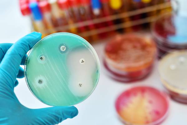 Antibiotic that kills drug-resistant bacteria discovered through AI