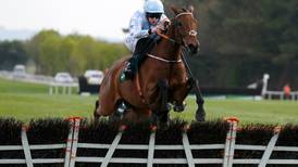 Constitution Hill given record rating for a novice hurdler