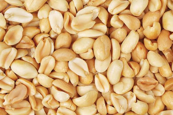 Are peanuts actually peas . . . or nuts?