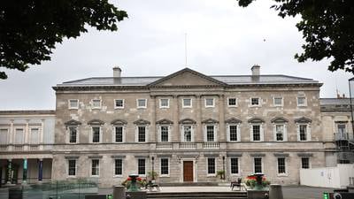 ‘Murky’ and ‘secret’ vetting process for Oireachtas post, court told