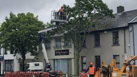 Skerries protesters attempt to stop felling of mature trees