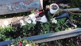 Cork: Families call on city council to install CCTV at graveyard after vandalism