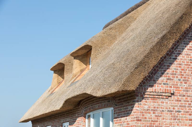 Traditional thatched buildings at risk due to insurance issues, committee hears