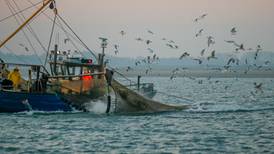 Fishing industry’s slim margins generates perfect storm