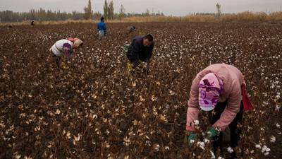 China conscripts Xinjiang Muslim minorities into army of workers