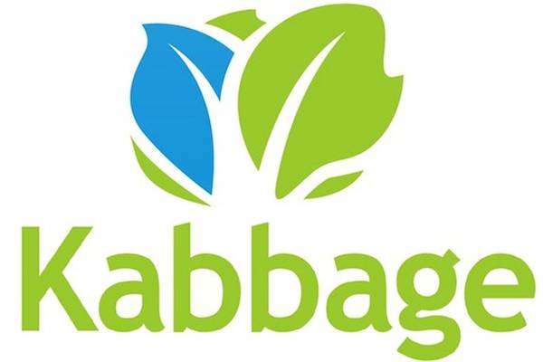 Kabbage raises $250m after establishing patch in Ireland