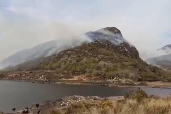 Emergency services tackle huge fire in Killarney National Park