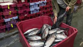 Restricted quotas leave fishing industry all at sea
