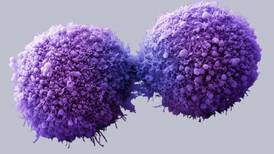 Mix  of pancreatic cancer drugs extends survival, study shows