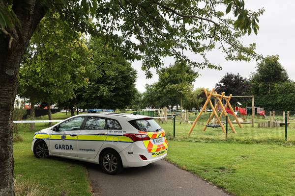 Man’s body discovered in south Dublin park, gardaí investigating