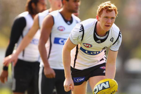 Kildare's wild geese return for a gander at a Leinster title