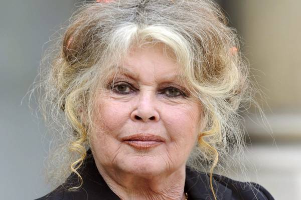 Brigitte Bardot calls harassment accusers ‘hypocritical nobodies’