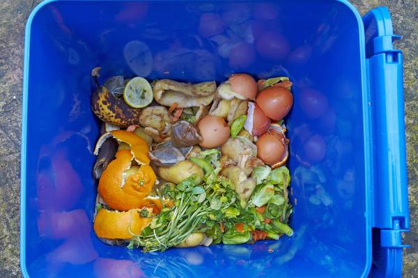 Catherine Cleary: My favourite way of composting food at home