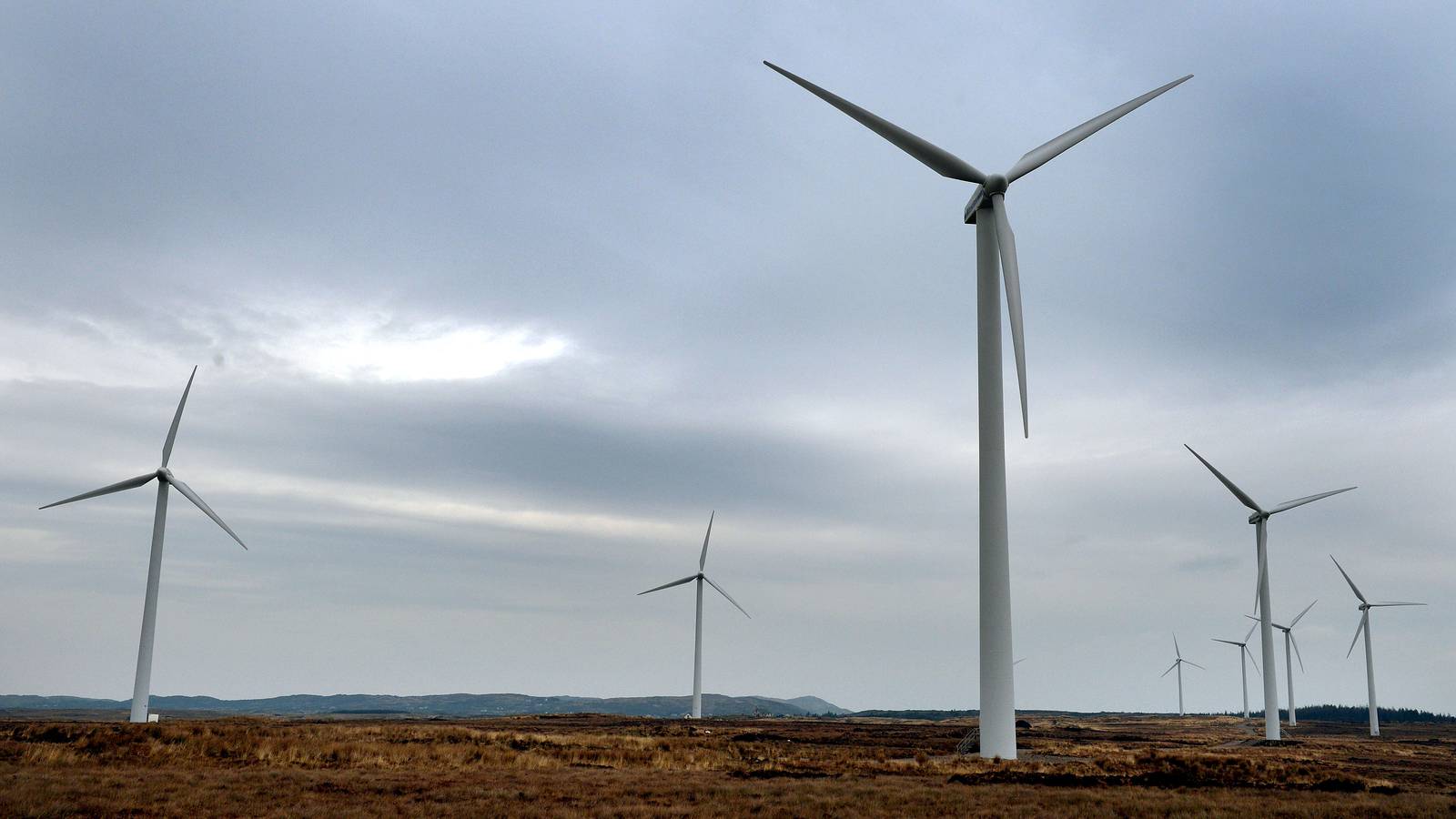 irishtimes.com - Tim O'Brien - Challenge to Ballivor wind farm may hit Bord Na Mona's 'brown to green' transition