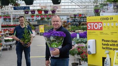 ‘It’s been a struggle’: Garden centres hoping to turn the Covid-19 corner