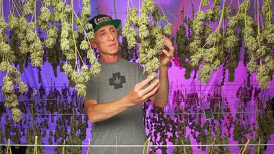 The Irish man making his mark on California’s cannabis industry