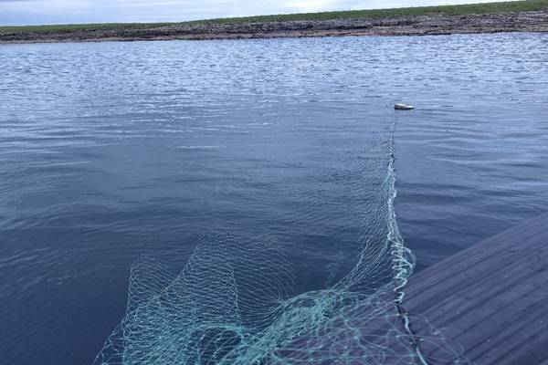 Four men convicted of illegal salmon angling offences in Co Sligo