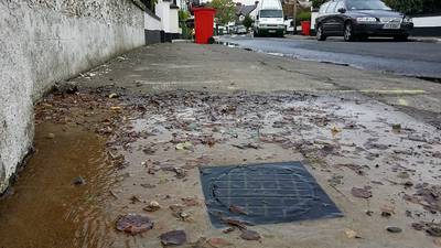 Protester dug up meter and posted it to Irish Water, court hears
