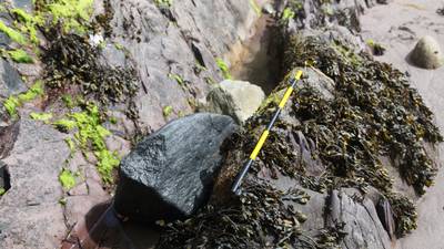 On the trail of Frobisher’s gold – Smerwick Harbour and a 1578 shipwreck