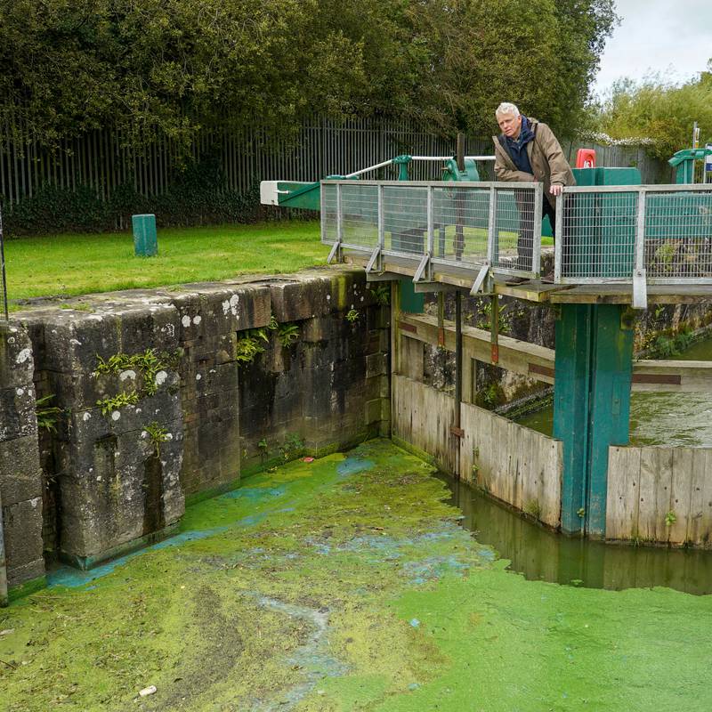 Friends of the Earth says contamination of Lough Neagh with blue green algae ‘inevitable’