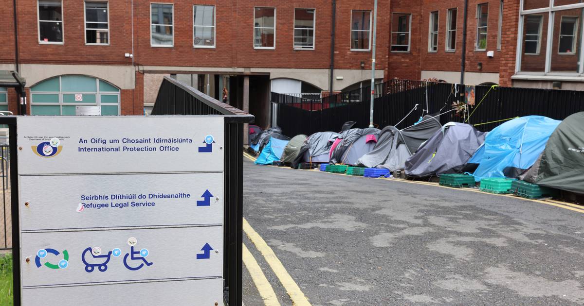Столкновения между департаментами из-за беженцев, которых от прямого ухода перевели в бездомность — The Irish Times