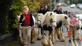 Higgins is no dark horse amid fawning crowds in Ballinasloe