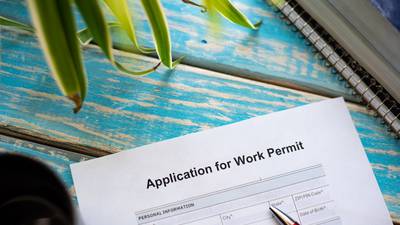 Call for better resourcing to speed up work permit applications