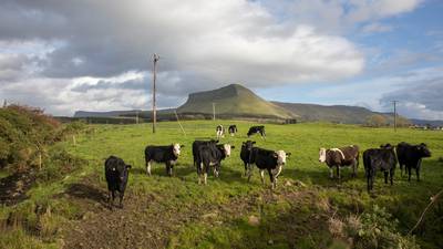 Sligo: An insider’s guide to the best walks, beaches, food, drink and activities