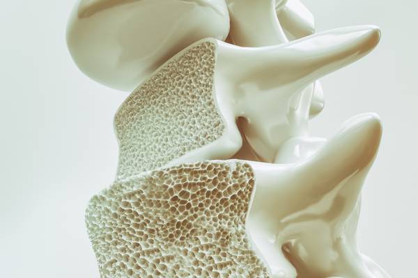 Irish scientists shed new light on why exercise promotes bone growth