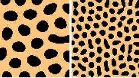 How leopards get their spots, and other maths problems
