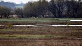 Midlands bogs to be restored as part of climate strategy