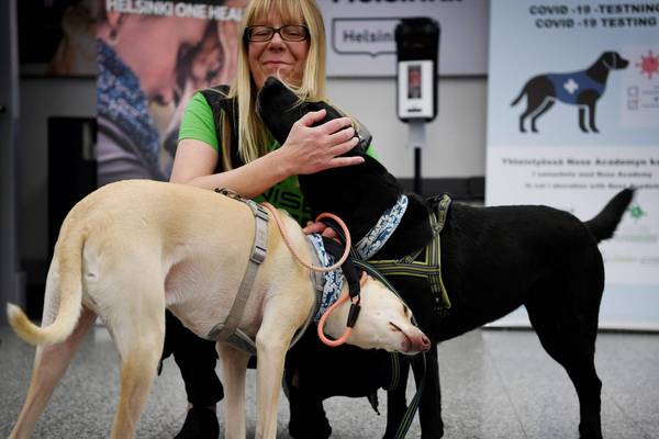 Sniffer dog trials make case for rapid detection of Covid