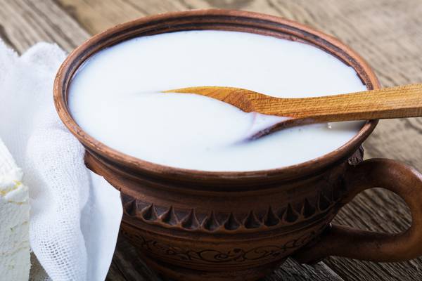 What is kefir and why do we have to feed it?