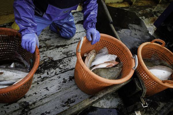 North’s fishing industry raises Brexit concerns