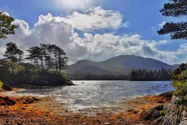 On the hunt on an Irish food safari