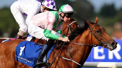 O’Brien aims to bounce back with win at Newmarket