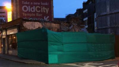 Netting covering Somebody’s Child mural was installed on purpose, says Flynn