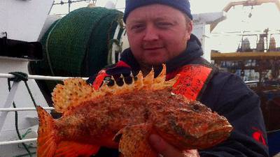 Rare scorpion fish caught off Waterford