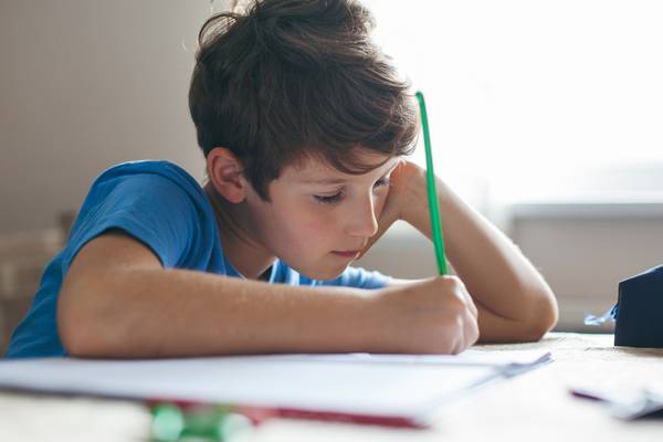 Sharp drop in primary pupils using computers in school