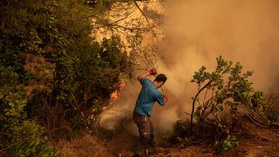 Greek villagers mount vigils to save homes as wildfires burn for eighth day