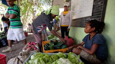 Funding fails to filter down to most needy on farms of Timor-Leste