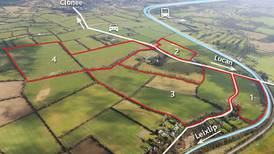 Lucan land bank to be sold for €30,000 to €50,000 per acre