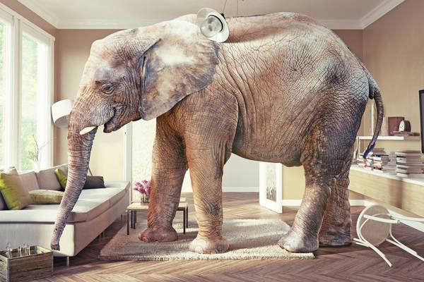 Hilary Fannin: Ignoring the elephant in the room – and its enormous erection