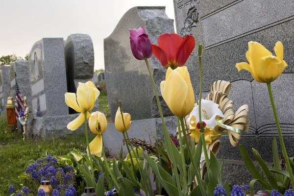 Coronavirus: Funerals to be held under controlled conditions