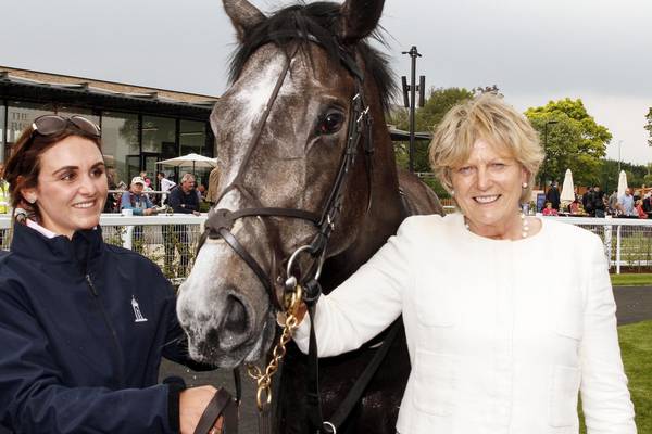 Alpha Centauri crowned 2018 Horse of the Year